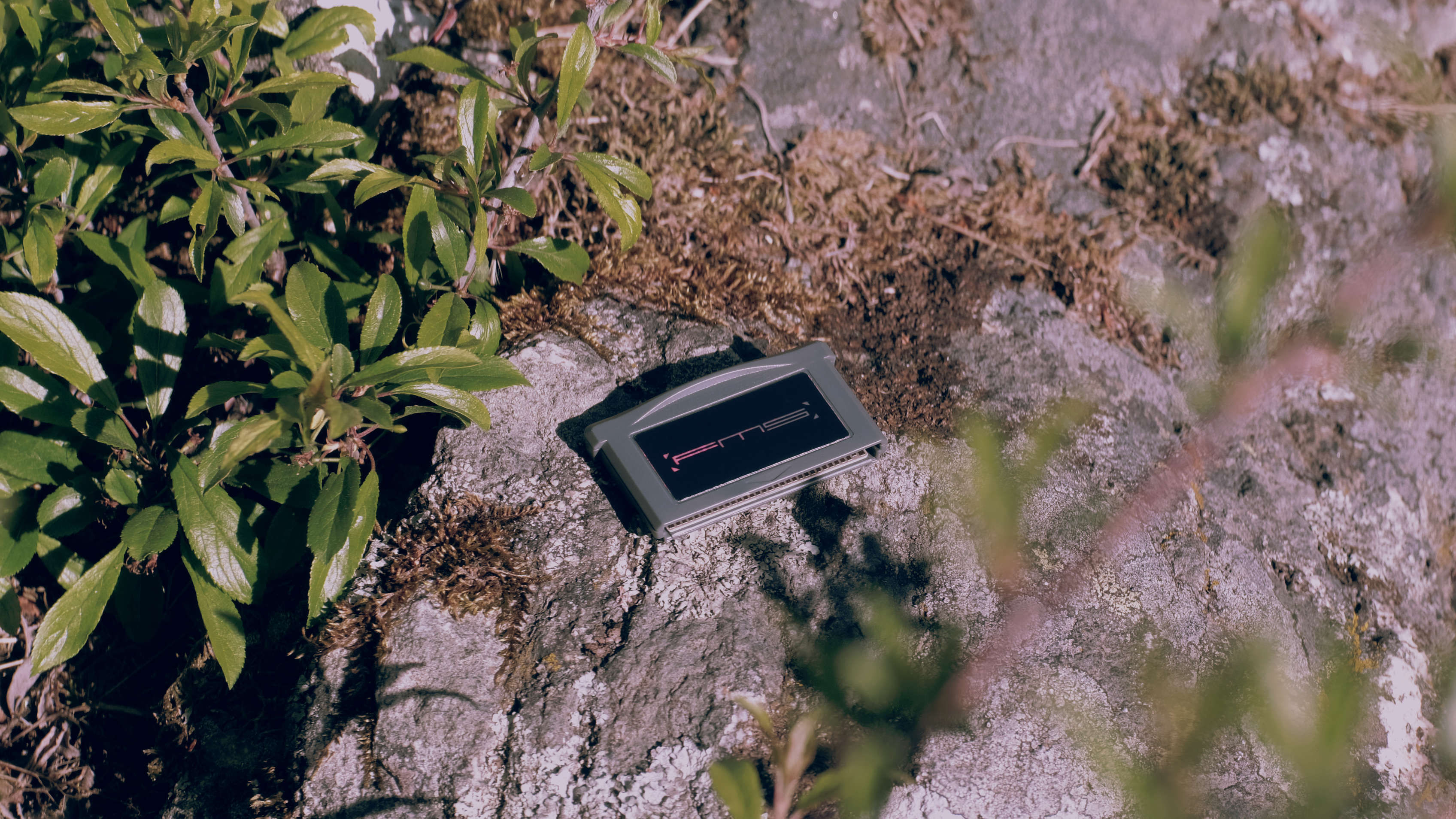 FMS cartridge laying on a rock in nature, surrounded by out of focus leaves with heavy bokeh